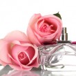 Perfume bottle and two pink rose isolated on white